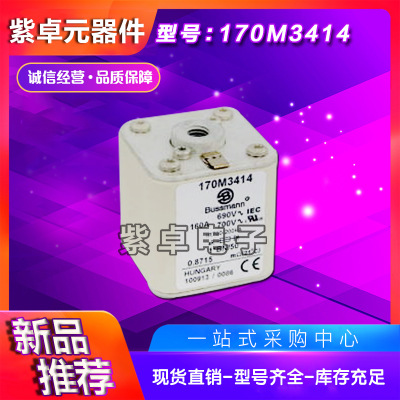 全新原裝Bussmann熔斷器170M5416 170M5417 170M5418
